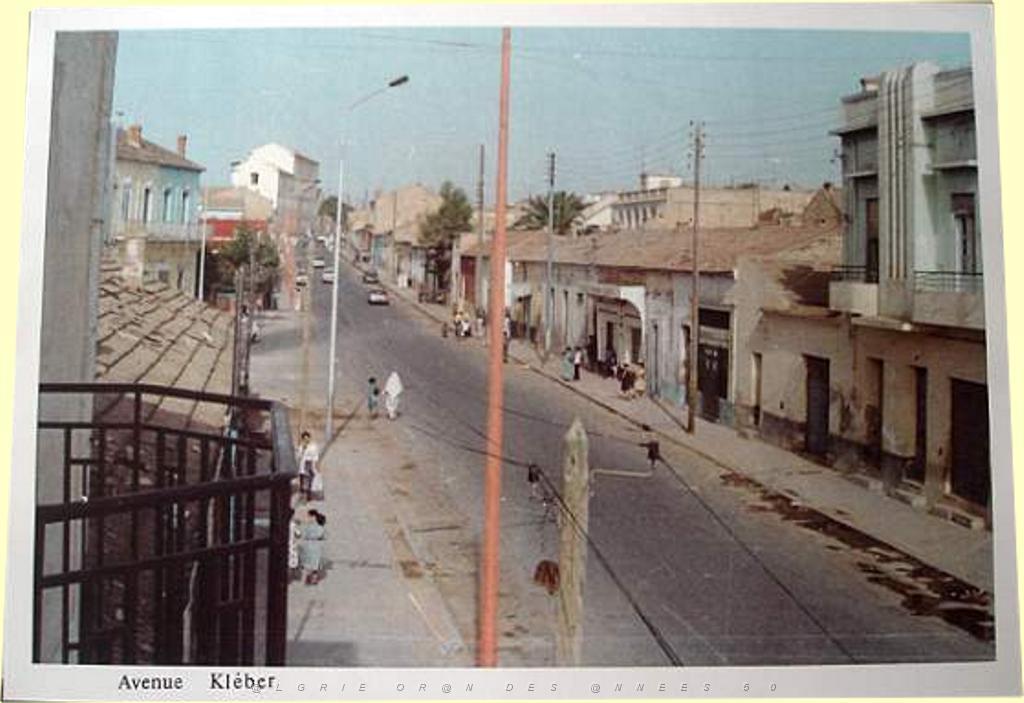 SIDI BEL ABBES AVENUE KLEBER.JPG